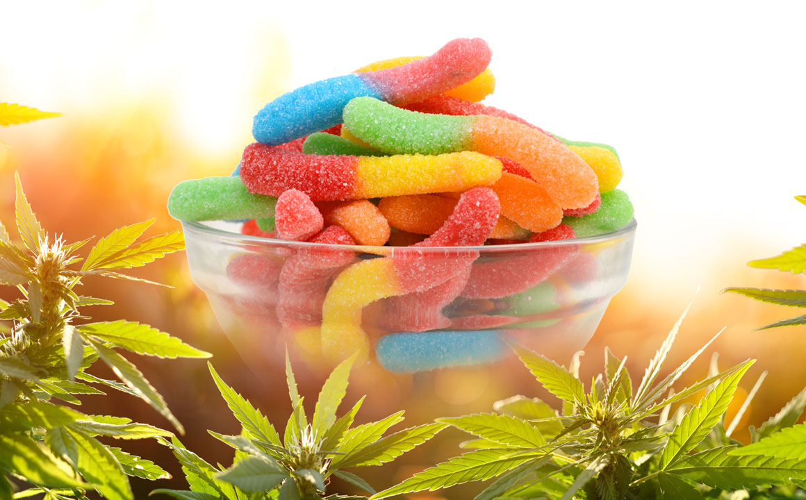 BEST Edible CBD Edible gummies