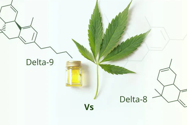 Delta 8 vs Delta 9 THC Effects on Gastrointestinal Functions