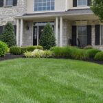 Transform Your Garden with Professional Landscaping Services