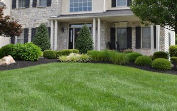 Transform Your Garden with Professional Landscaping Services